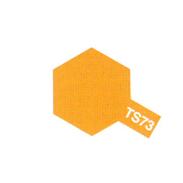 Tamiya TS73